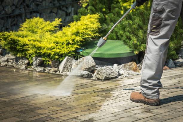 Best Brick and Stone Cleaning in La Vernia, TX