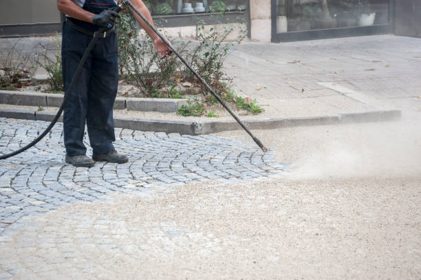 Best Concrete Surface Cleaning in La Vernia, TX